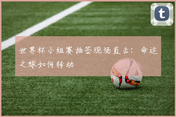 世界杯小组赛抽签现场直击：命运之球如何转动