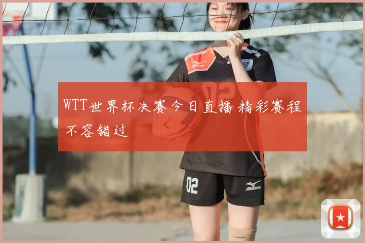 WTT世界杯决赛今日直播 精彩赛程不容错过
