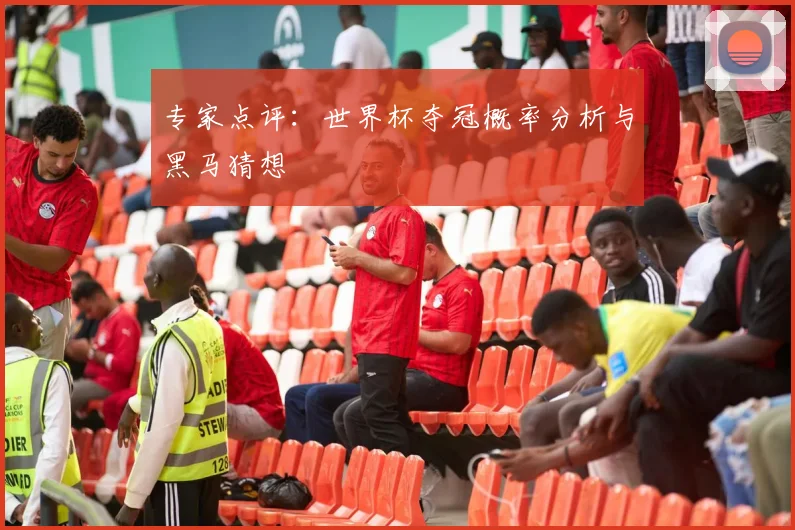 专家点评：世界杯夺冠概率分析与黑马猜想