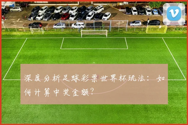 深度分析足球彩票世界杯玩法：如何计算中奖金额？