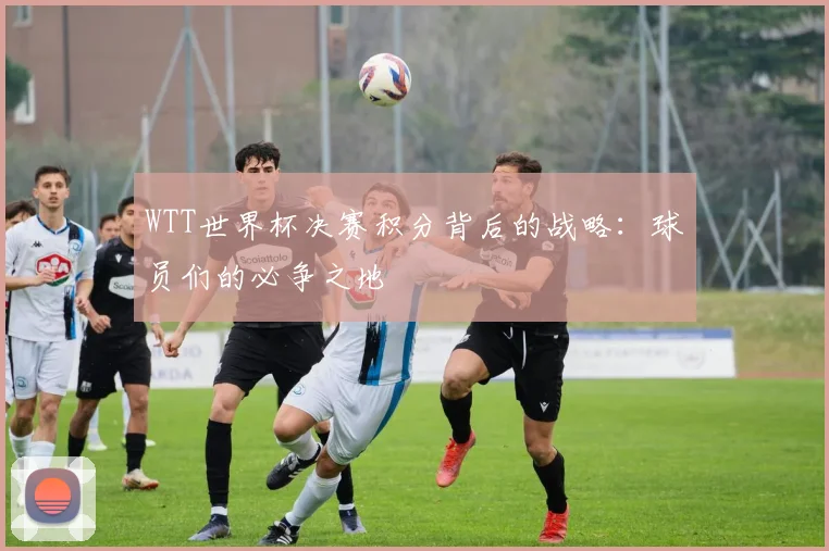WTT世界杯决赛积分背后的战略:球员们的必争之地