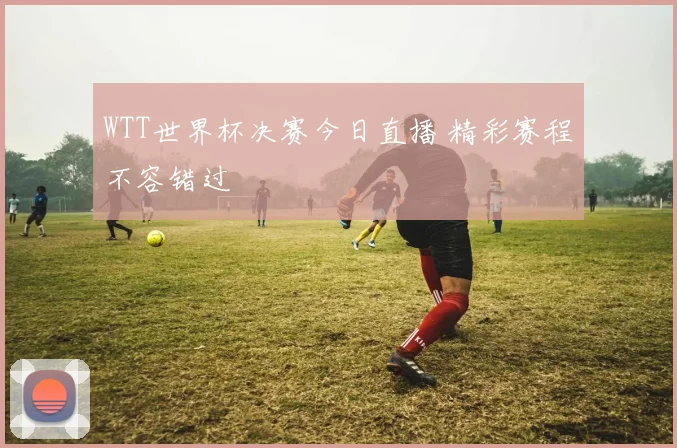 WTT世界杯决赛今日直播 精彩赛程不容错过