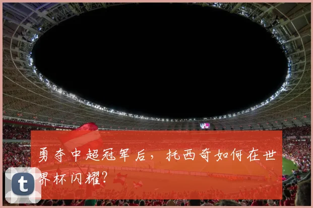 勇夺中超冠军后,托西奇如何在世界杯闪耀?