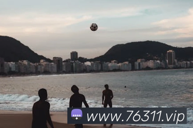 开体育app官网下载最新版服务体系